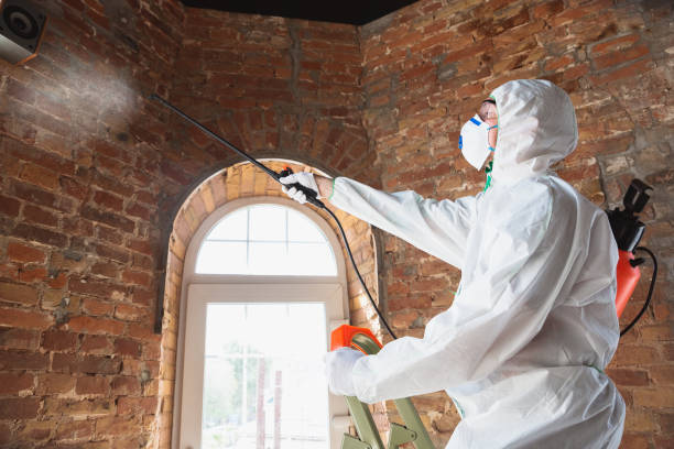 Mold Remediation for Vacation Homes in Medina, TN